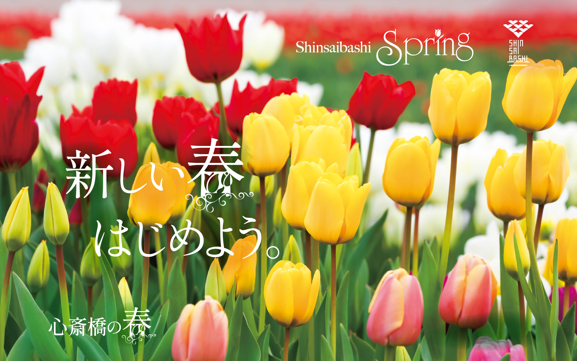 shinsaibashi spring 新しい春 始めよう